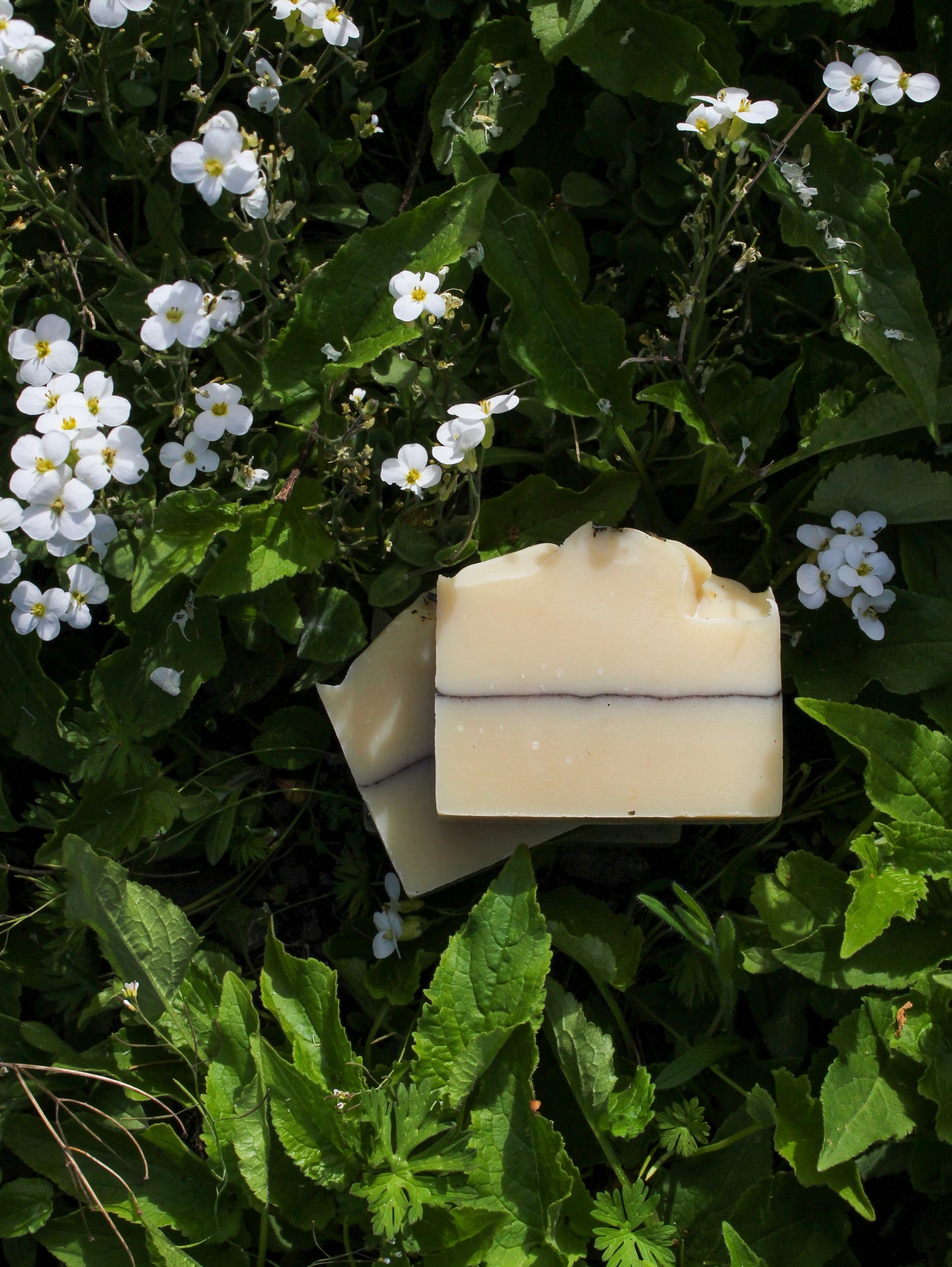 Lavender Mint