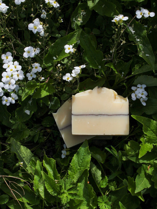 Lavender Mint